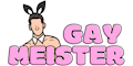 GayMeister